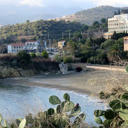 Ferienwohnung Les Pieds Dans L'Eau Banyuls-sur-Mer Exterior foto